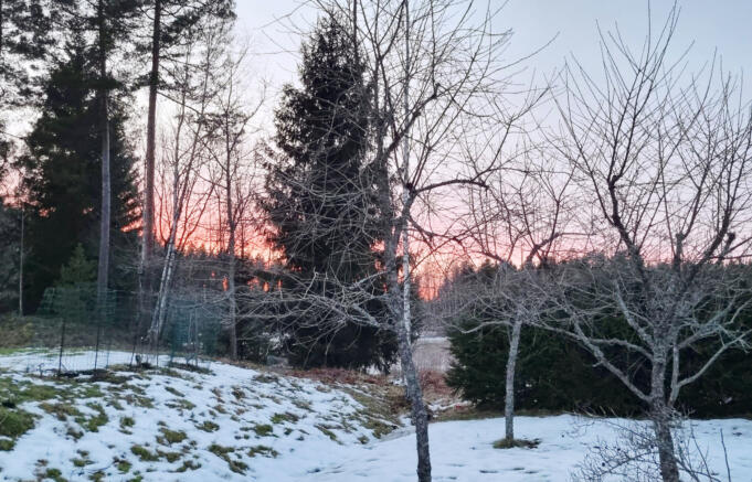 Himlen kan färgas röd av Sahara-sand