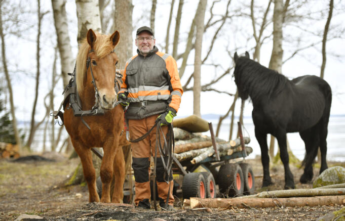 Bror-Åke Lindholm förvaltar ett arv som inte lämnar spår i skogen