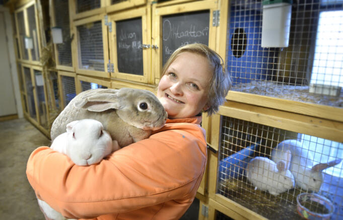 Nästan 90 kaniner till åländsk utställning