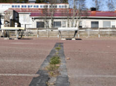 Ungdomsrådet ska ge sin syn på basketplan och skatepark