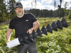 Förekomsten av granbarkborre fortsätter att minska på Åland