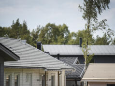 Mossa på tak och döda träd i årets gatusyn