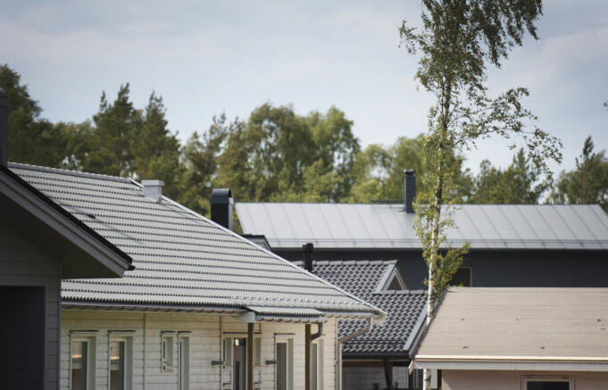 Mossa på tak och döda träd i årets gatusyn