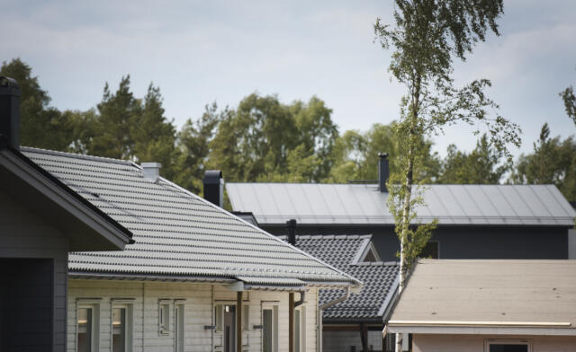 Fler ålänningar bor ensamma