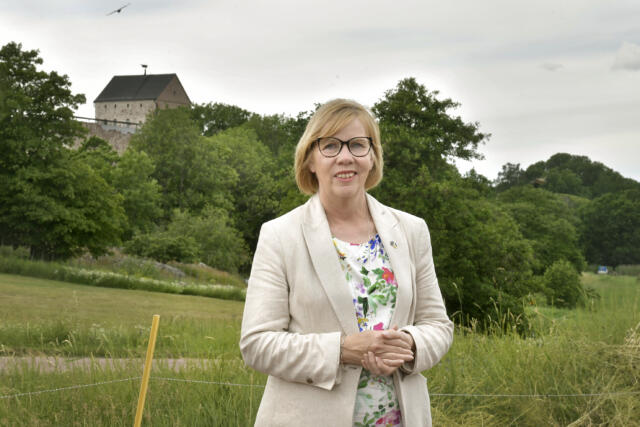 Europaparlamentarikern: ”Åland är på sitt sätt ett idealsamhälle”