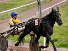 Dubbeltravet lockade publik och bjöd på debut