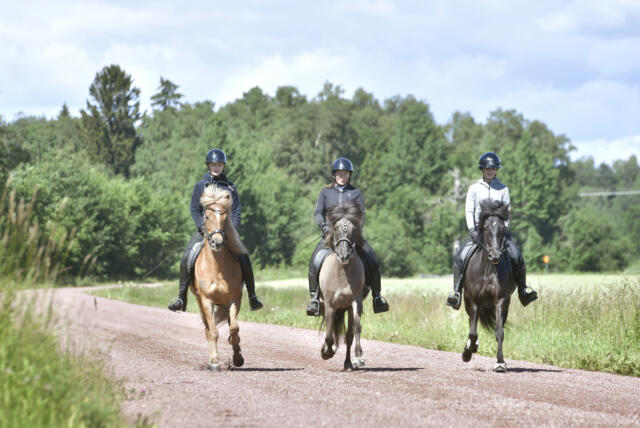 Familjen som har full fart mot nya FM-medaljer