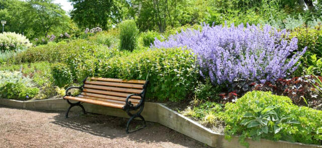 Nya bänkar i stadens park- och grönområden