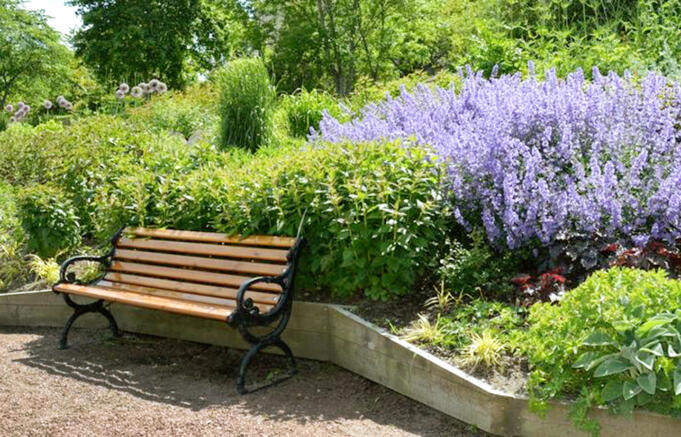 Nya bänkar i stadens park- och grönområden