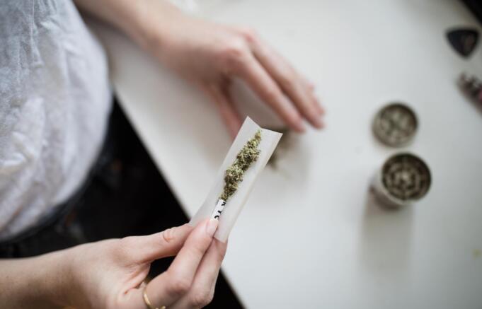Fängelsestraff efter att ha odlat 57 cannabisplantor