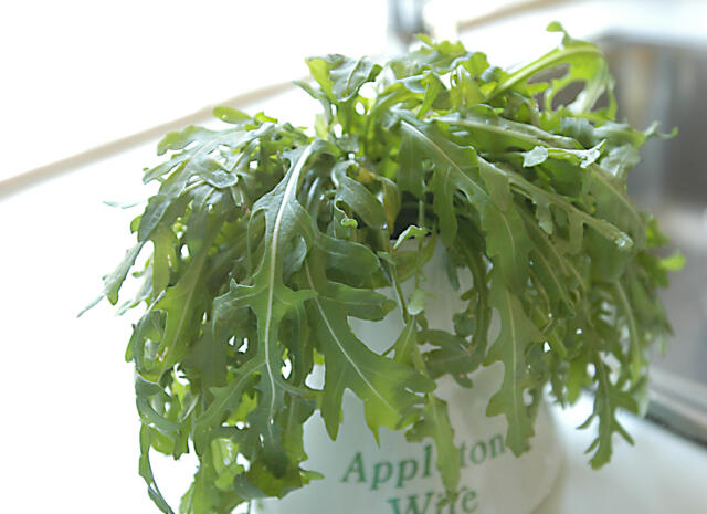 Bekämpningsmedel hittades i rucola