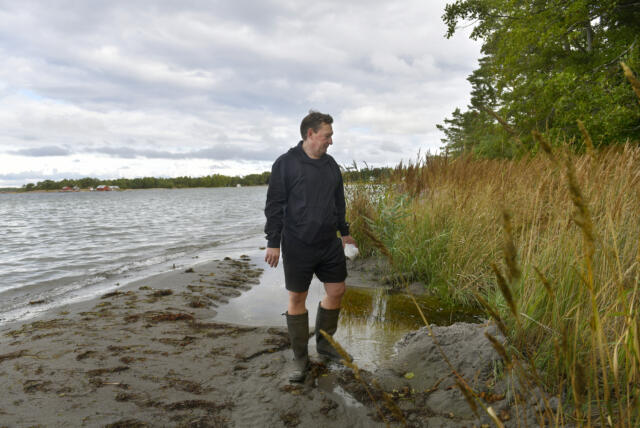 Alandia Forel släpper ut orenat vatten