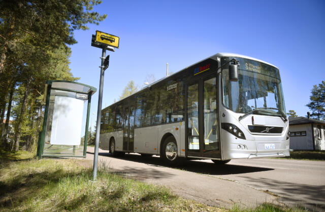 Bilfri dag firas med gratis buss