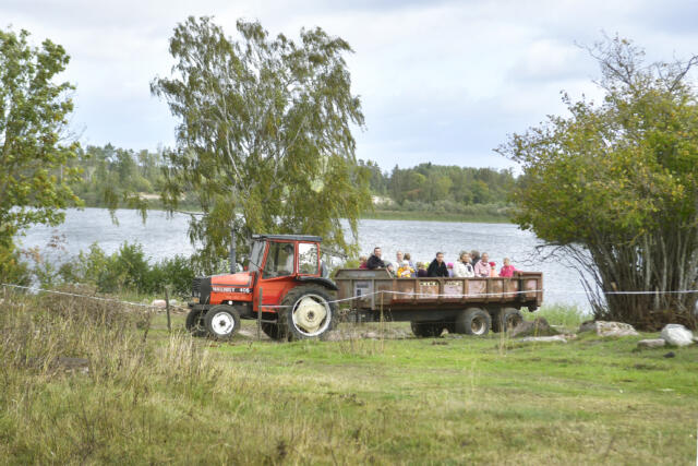 Lyckad skördefestpremiär på Gräggnäs gård