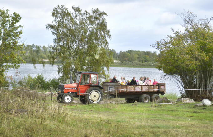 Lyckad skördefestpremiär på Gräggnäs gård