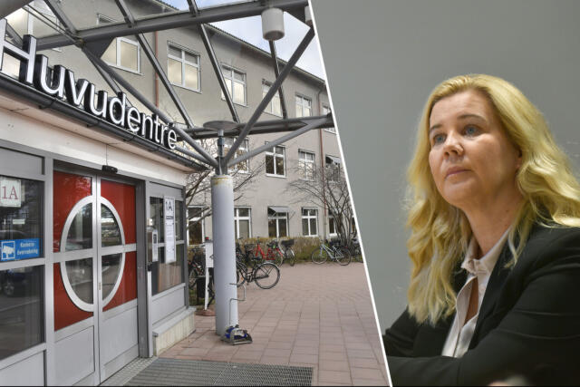 Bonns om palliativa: inget är förändrat Kollage – Bonns om palliativa:inget är förändrat
