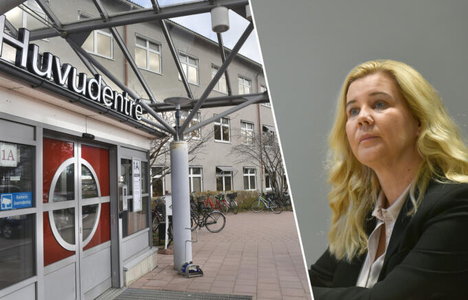 Bonns om palliativa: inget är förändrat Kollage – Bonns om palliativa:inget är förändrat