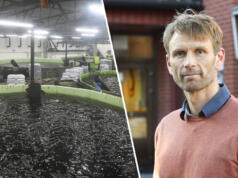 ÅMHM polisanmäler Alandia Forel Kollage – ÅMHM polisanmäler Alandia Forel