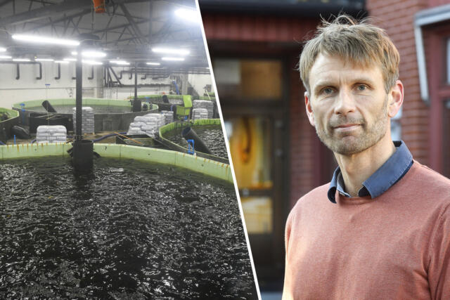 Kollage – ÅMHM polisanmäler Alandia Forel