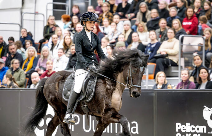 Medaljrikt på Islandshästryggen
