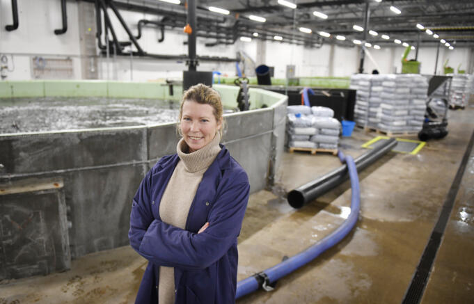 Alandia Forel hotat efter svikna landskapslöften?