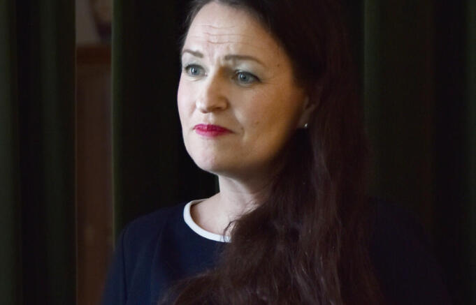Ålandsministern vill se ny arbetsgrupp